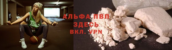 прущий лед Алзамай