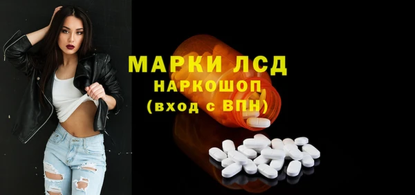 прущий лед Алзамай