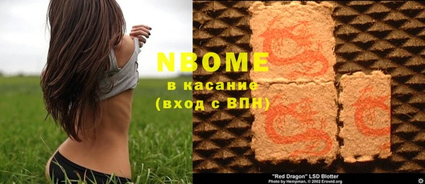 прущий лед Алзамай