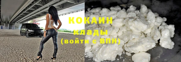 прущий лед Алзамай