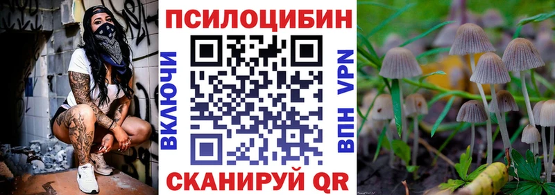 как найти закладки  Тихвин  Галлюциногенные грибы Psilocybe 