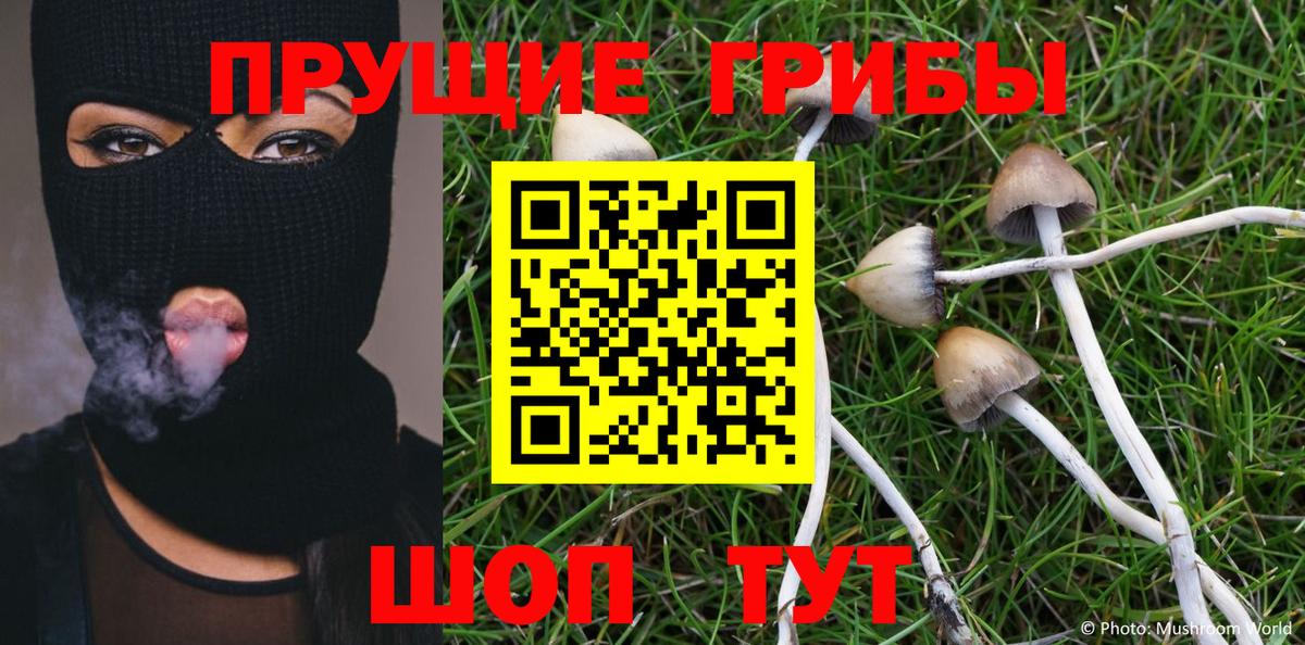 Тихвин  Галлюциногенные грибы GOLDEN TEACHER  Вход с VPN 